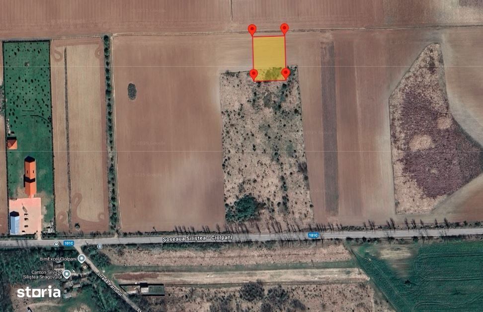 CIOLPANI- ILFOV, Teren intravilan - 2.500  mp