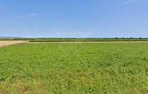Парцел в село Грозден 72292