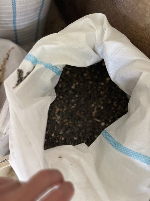 Vând furaj natural pentru animale