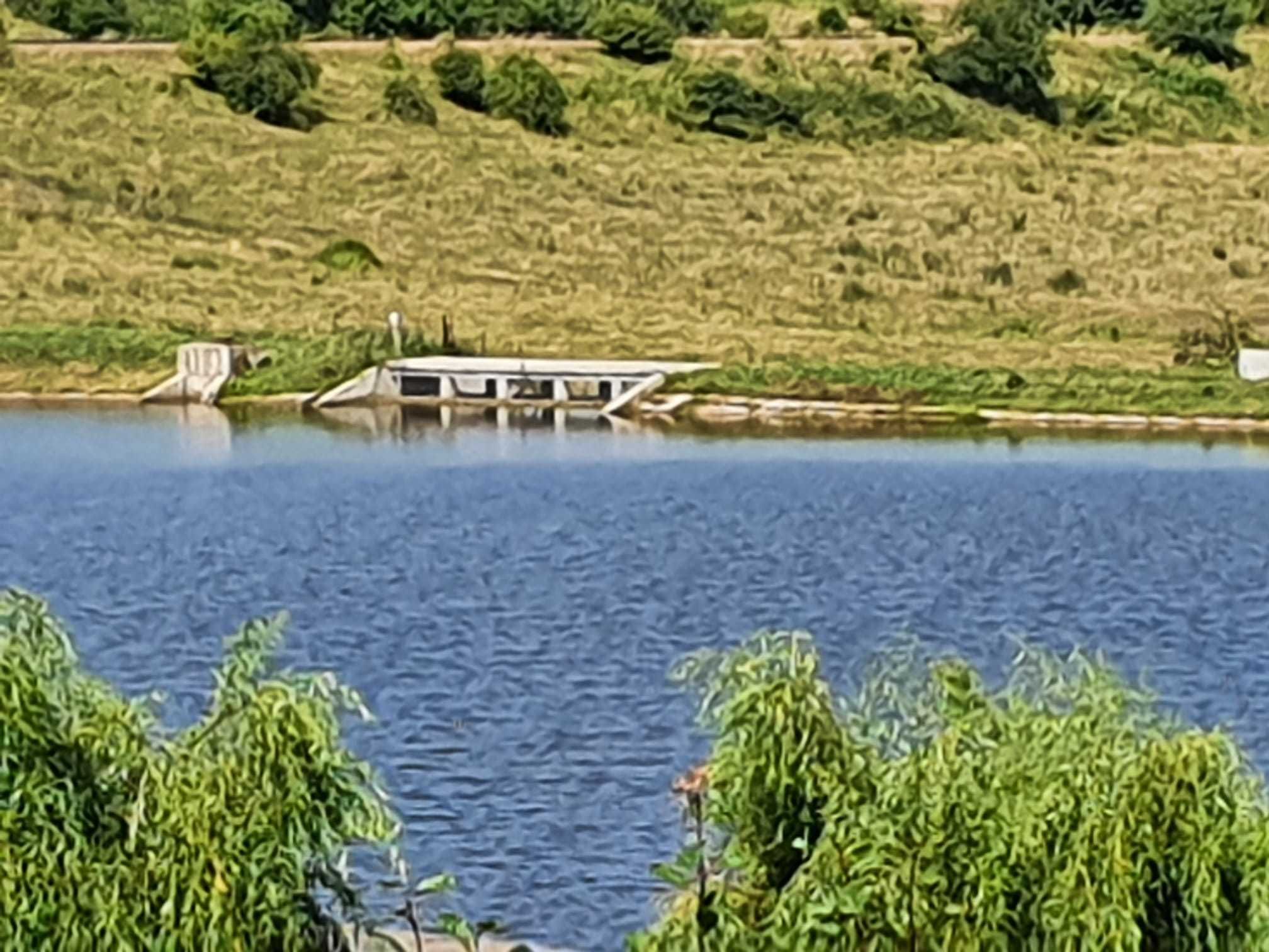 De vanzare Iaz cu livada de nuci si livada de pomi fructiferi