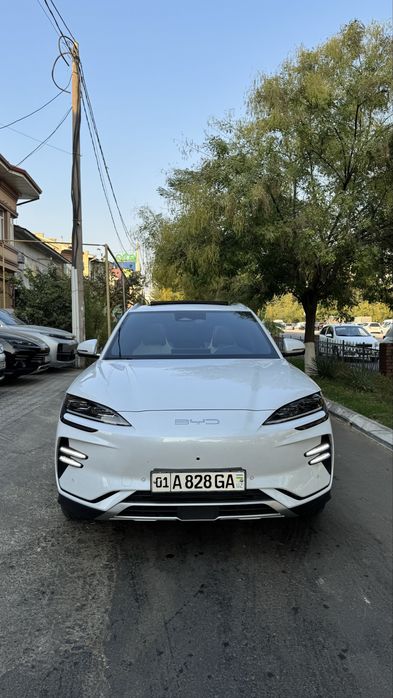 Byd champion 2024 yil 605 km