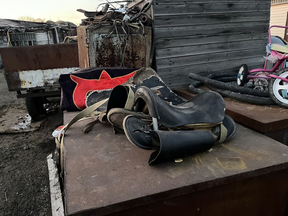 Ертоқым тазыларға айырбастайм