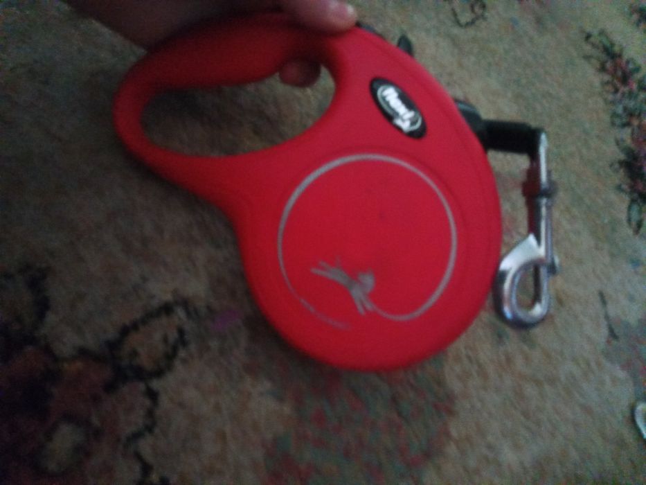 Lesă retractabilă pentru câini mari