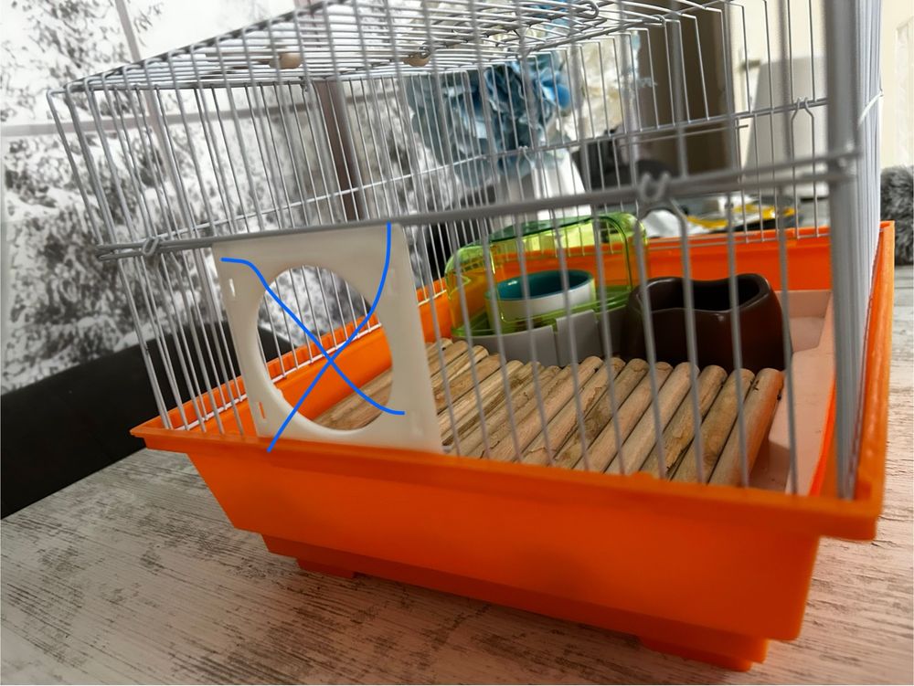 Cusca hamster pitic