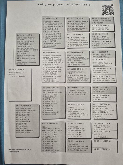 Porumbei voiajori cu pedigree