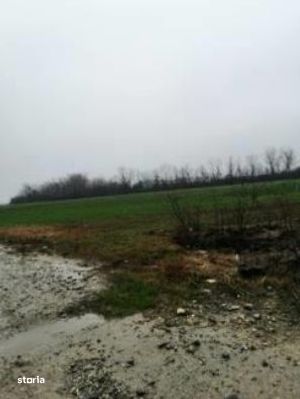 Teren Extravilan Manesti, jud. Prahova - ID: R1979552