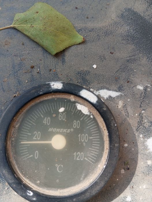 Katyol Arzonga bervoraman