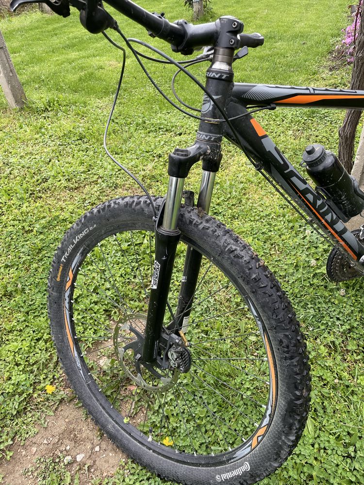 Sprint apolon 29