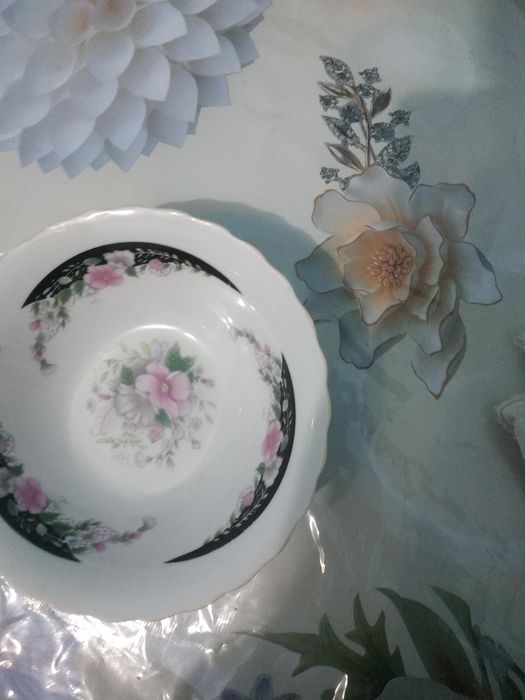 Коракош тарелкалар коса пиела