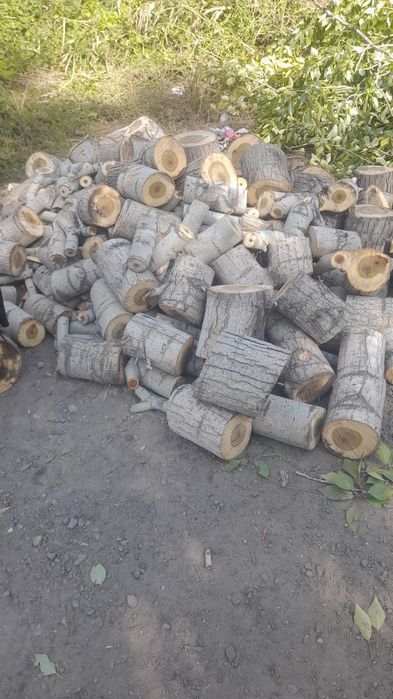 Сухие дрова/кепкен отын куб 20000