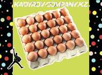 Инкубационные яйца бройлера ОПТОМ свежие ИЯ12