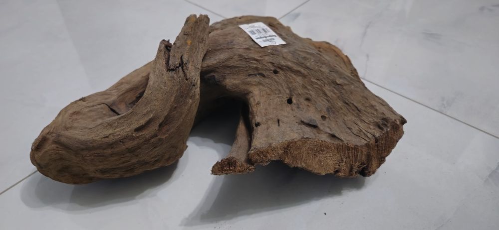 Lemn natura acvariu MANGROVE