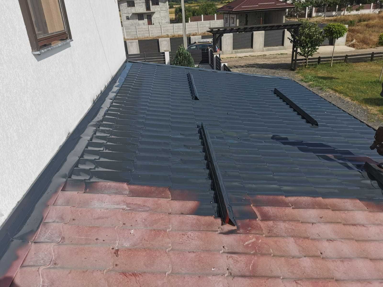 Vopsitor orice tip de tabla pe acoperis la casa si alte suprafete