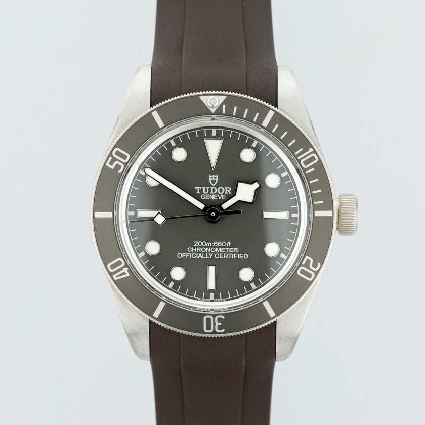 Tudor Black Bay Fifty-Eight Silver M79010SG
