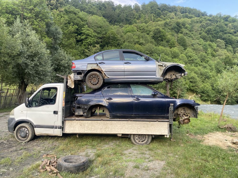 Deseuri fier veghi (rable auto)