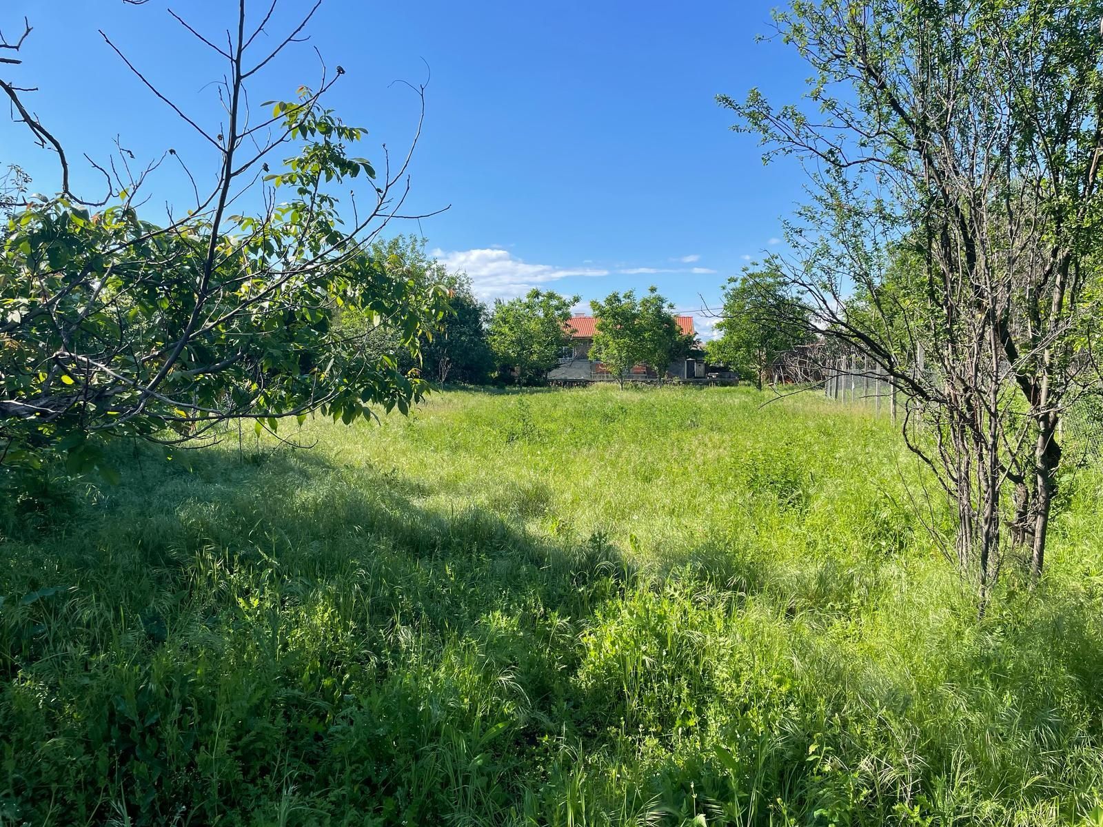 Парцел в село Добрич