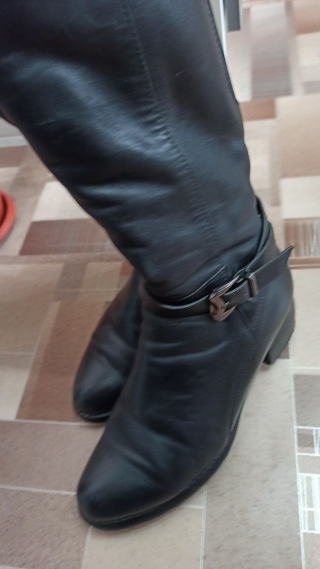 Продаю женские сапоги б/у