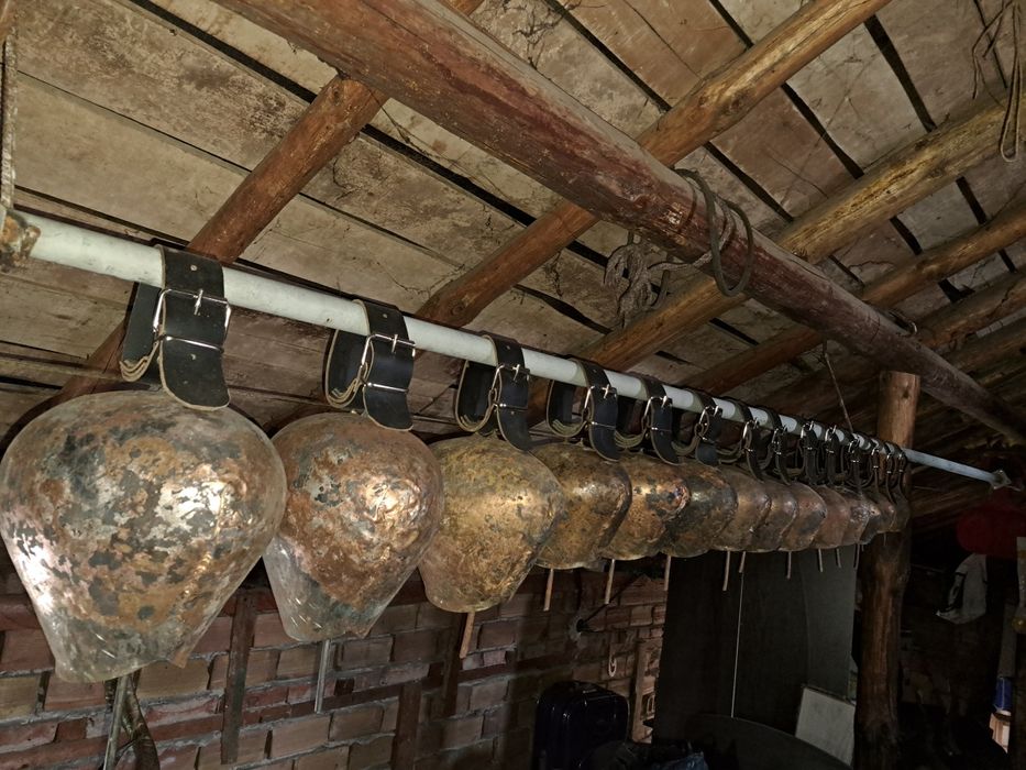 Хлопки. Чанове. Чан