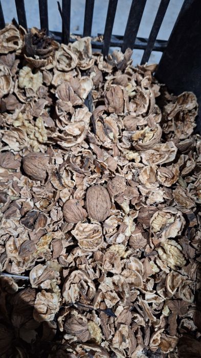 Висококалорични орехови черупки за отопление и разпалка 1.50 лв/кг