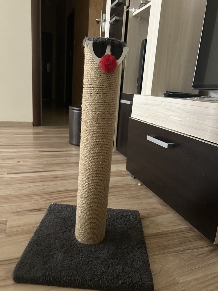 Играчка за котки