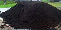 Pamant negru vegetal