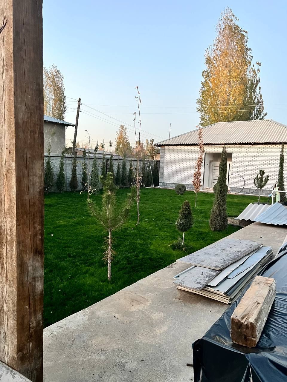 Gazon ekish xizmati
