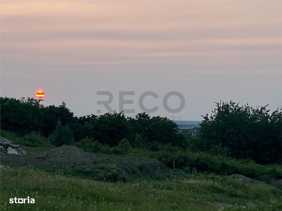 RECO Teren in Paleu 903 mp, acces rapid din Saldabagiu de Munte