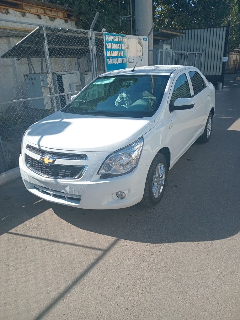 Cobalt 4 stayi fulll   2025 
COBALT MID NIGHT