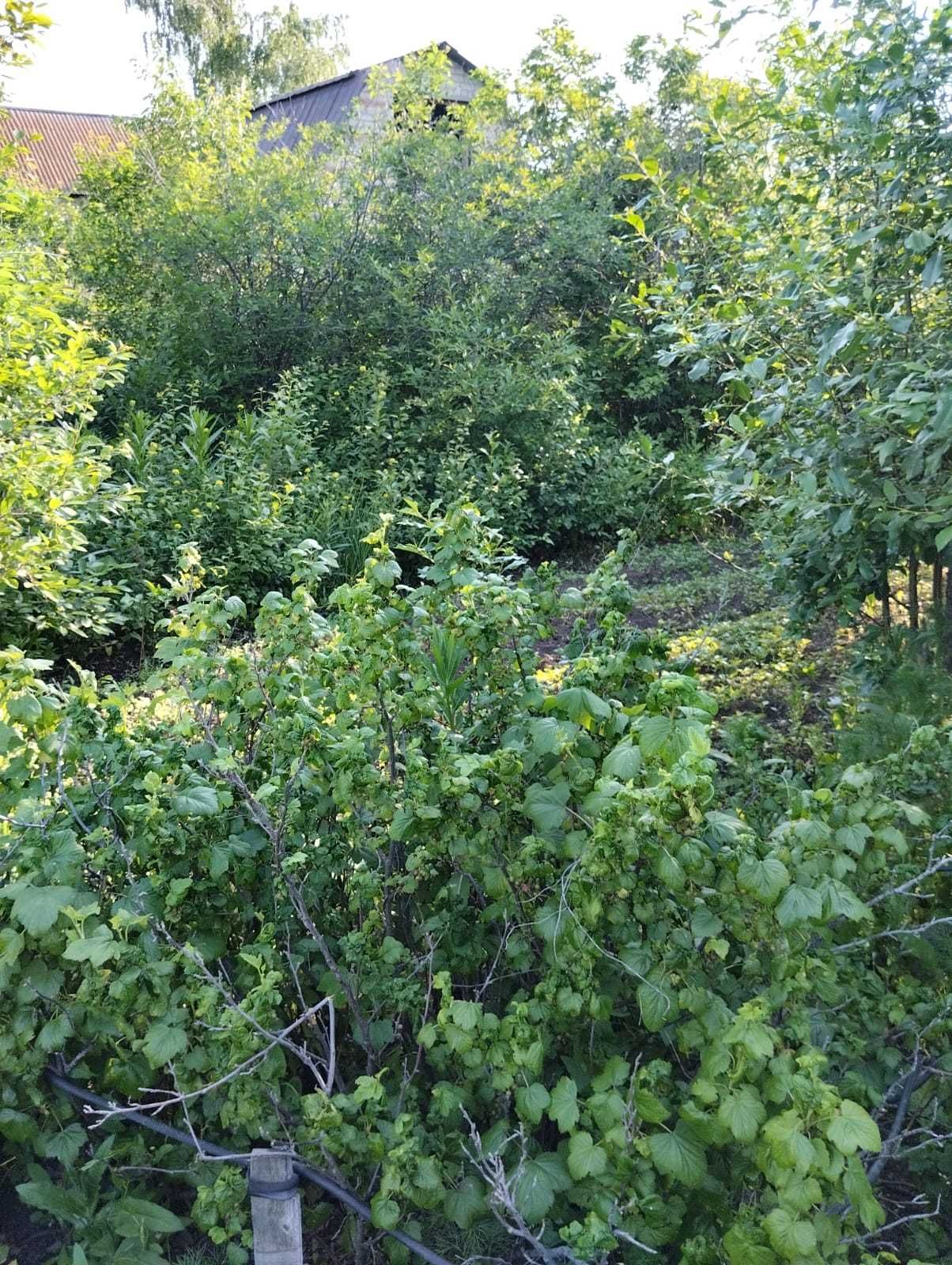 дача по красноярской трассе