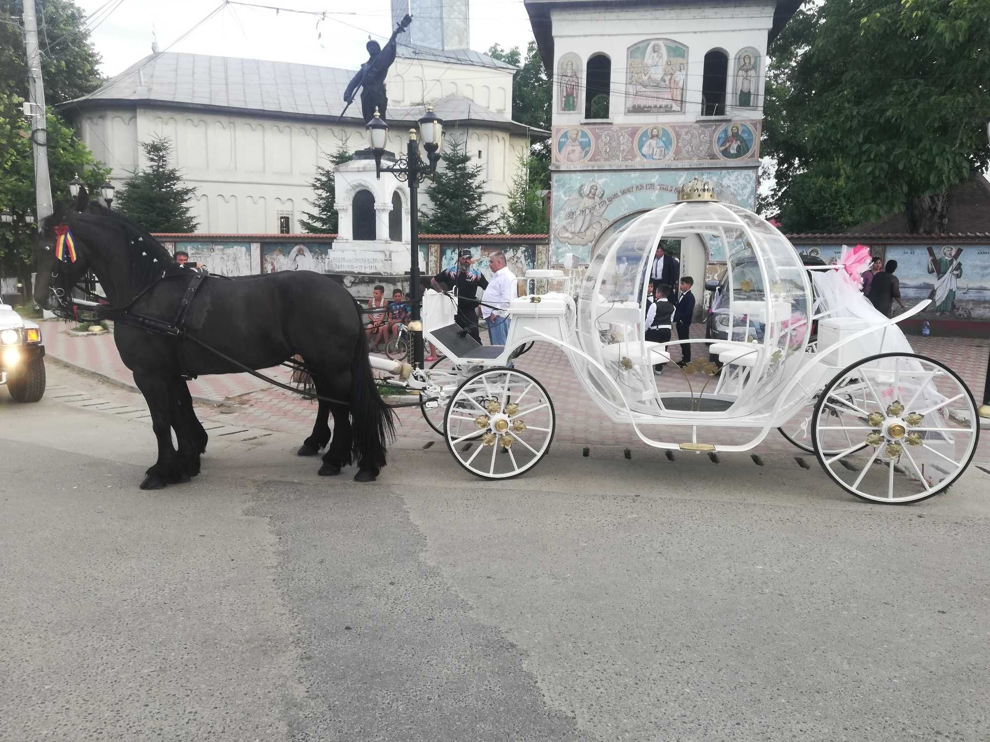 Plimbari cu trasuri si cai