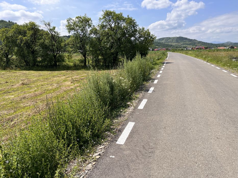 Teren intravilan 1400 mp, Dofteana, jud. Bacău.