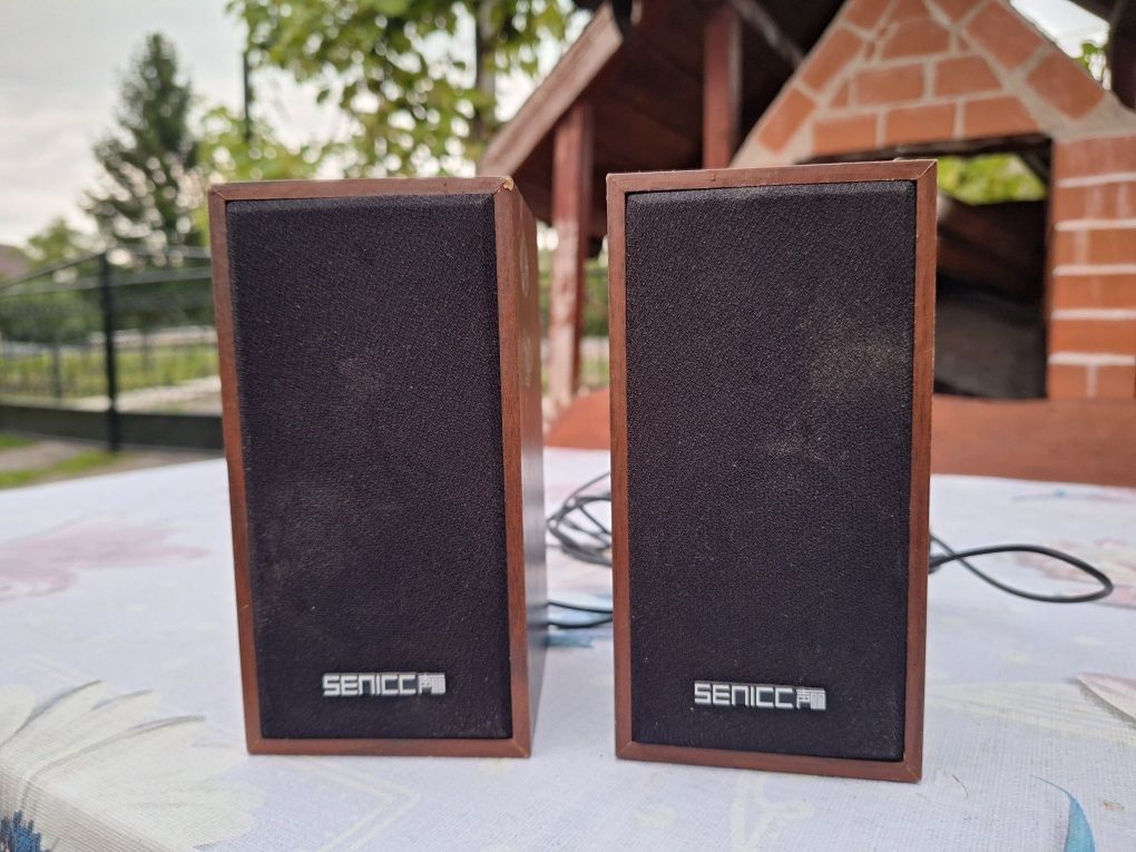 Boxe Somic Senicc SN-465