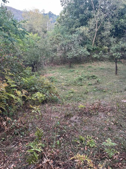 Teren de vânzare - Breaza