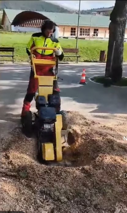 Frezare cioata, scos rădăcina, extirpare cioata