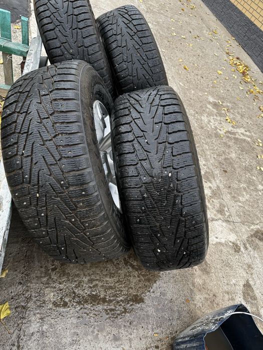 Шины 275х65х17 шипованые нокиан хакапелита 7