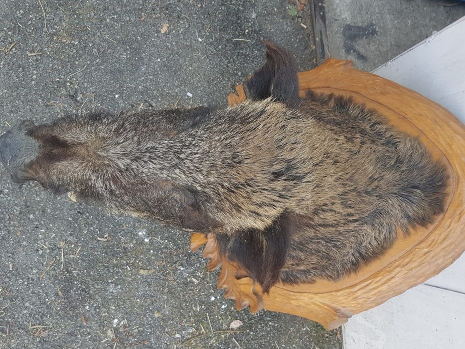 Vand mistret impaiat