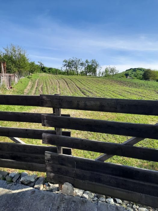 Vând teren intravilant 15 ari