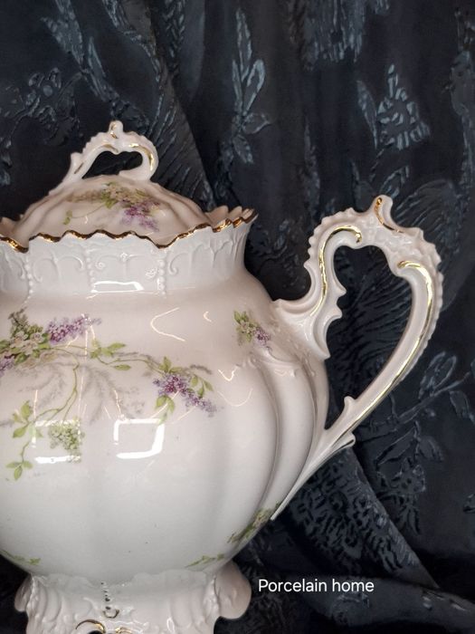 Moritz Zdekauer Austria