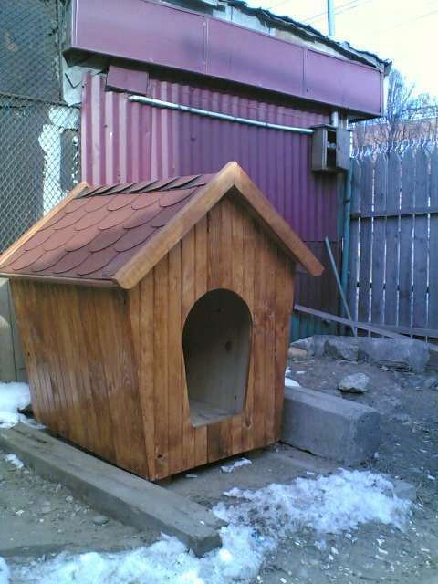 Cusca pentru catel / cotet pentru caini