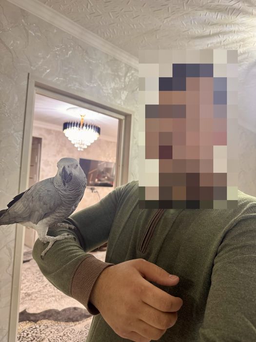 Жако 5 ёш 200+ гапи бор