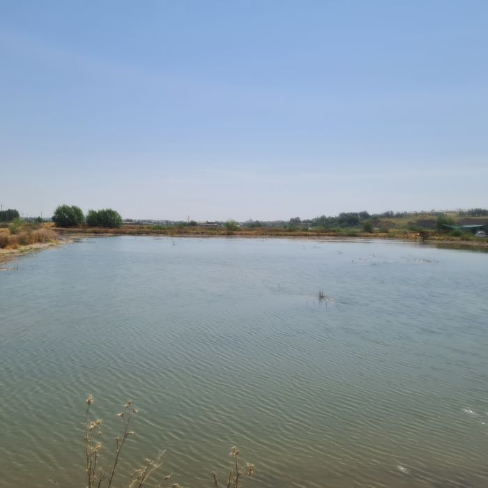 Ташморе идеальное место для туризм бизнеса