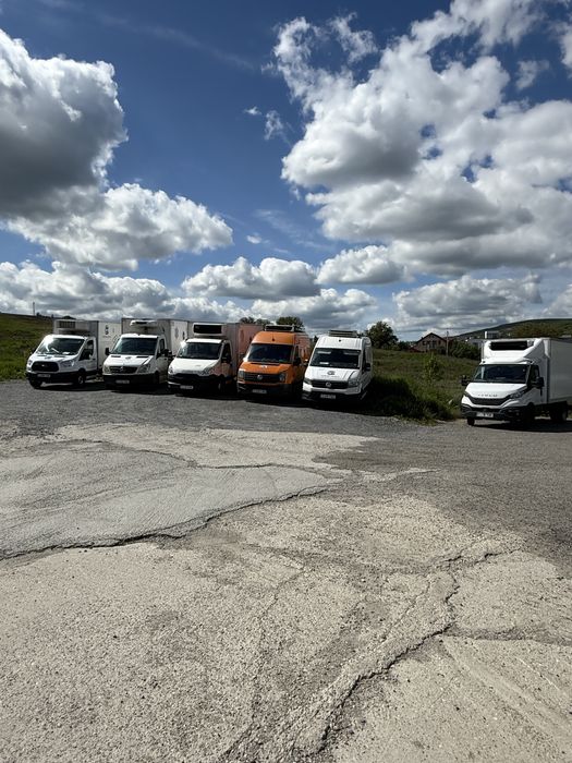 Transport frigorific , dubla temperatura, logistica si distributie