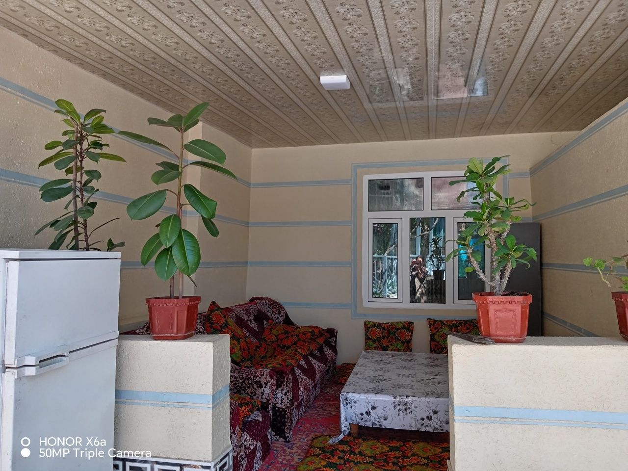 Dacha burchmulla