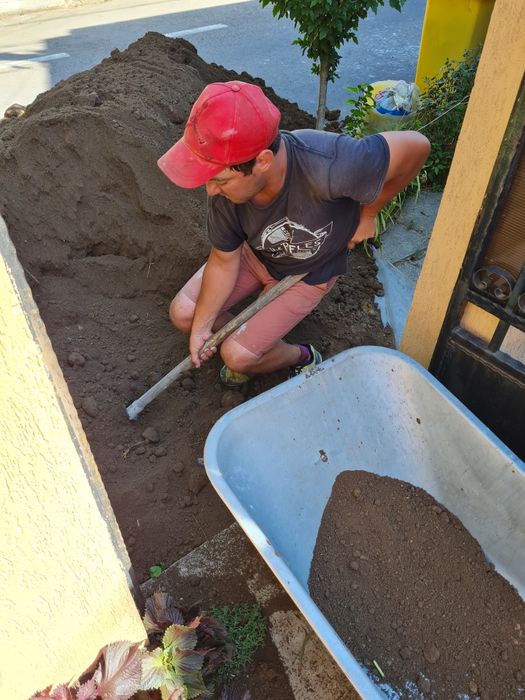 Pământ negru veget