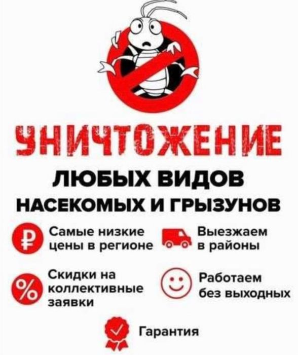 Уничтожение насекомых клопов дезинфекция грызунов, вредителей