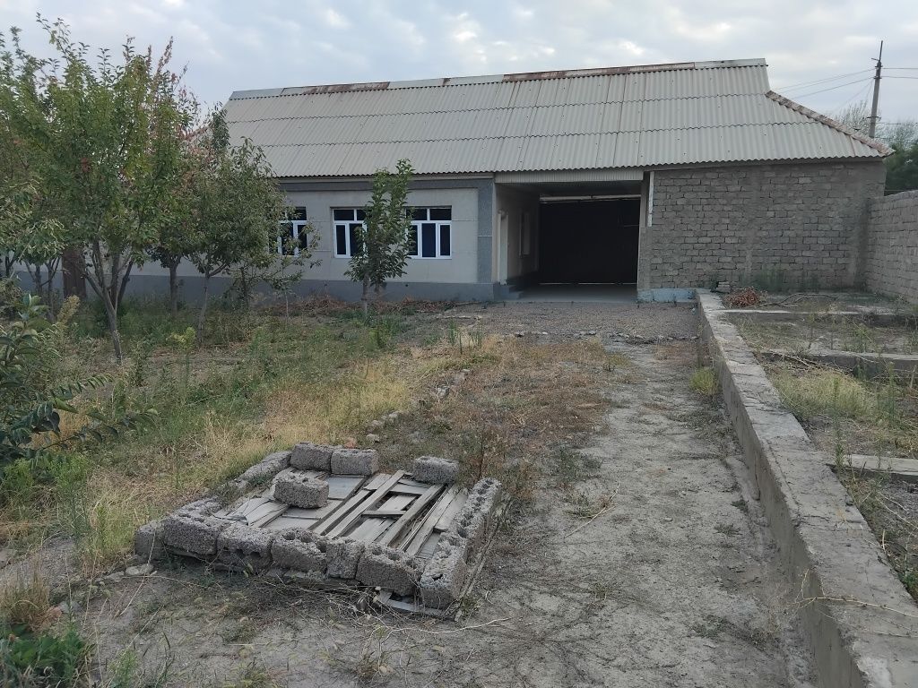 Ангрен янги гуш сой мфй йашлик 12 уй сотилади