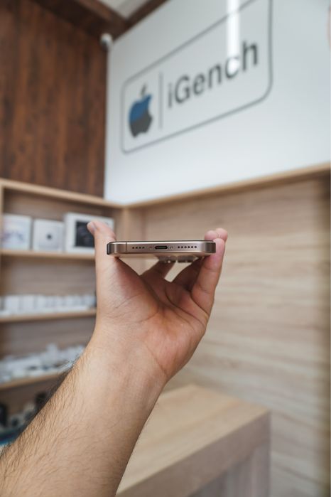 16 Pro Max 256Gb 100% 2Sim Ideal