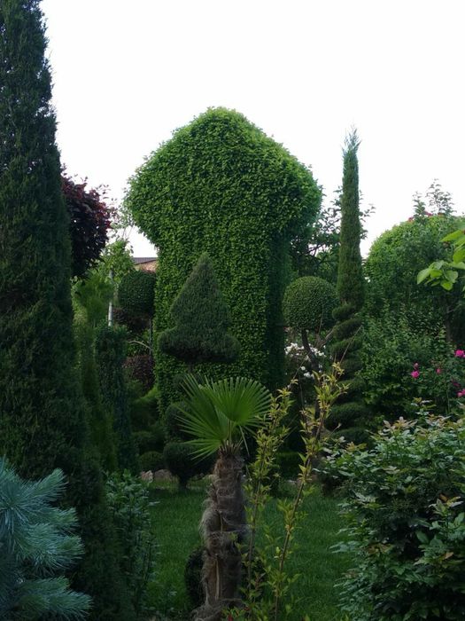 Ландшафт хизматлари