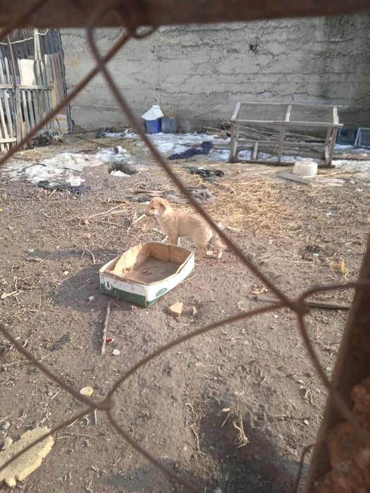 Всем привет . Срочно отдам.