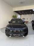 BYD Song Plus Chempion gibrit